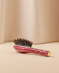 N.01 La Petite Brosse Brillance & Soin l'Universelle Rouge Cerise